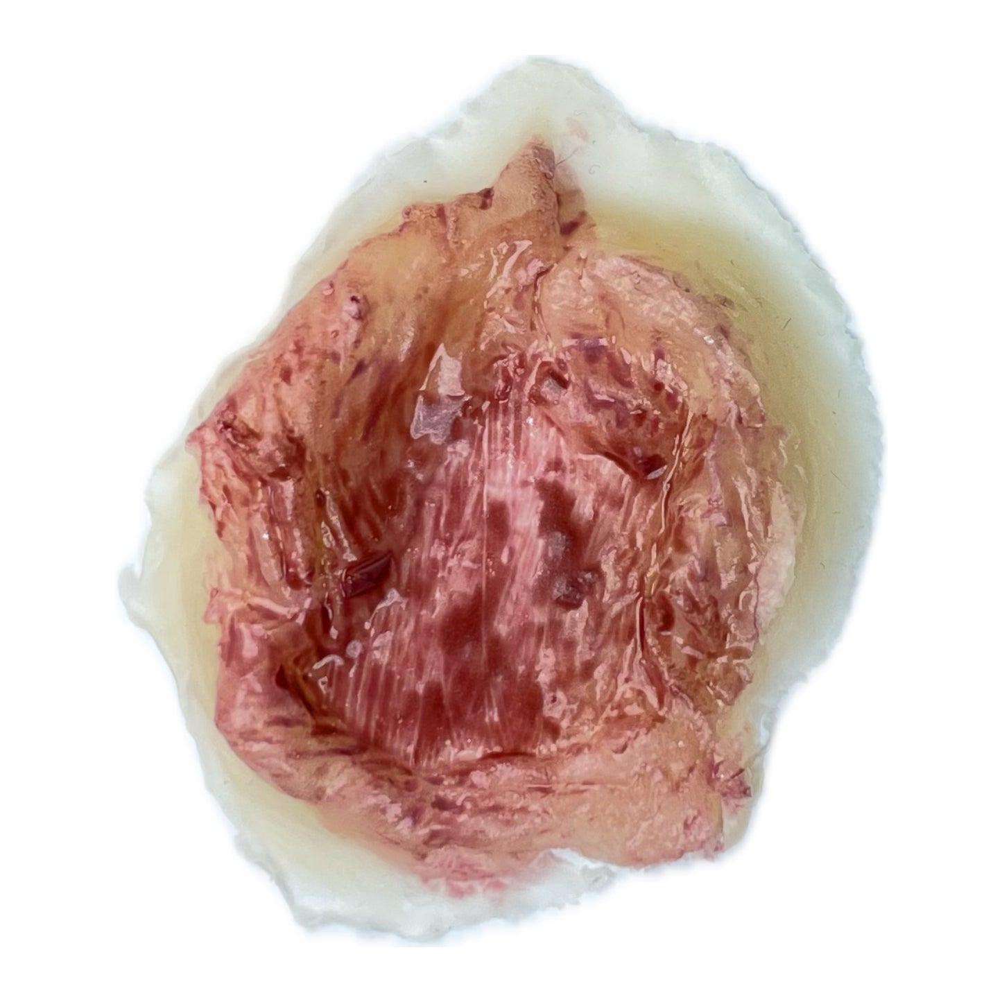Large Gash
