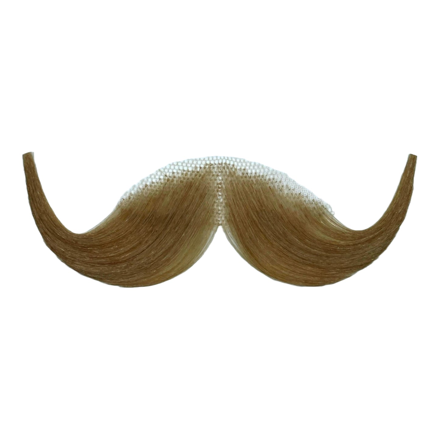 2013 Handlebar Moustache