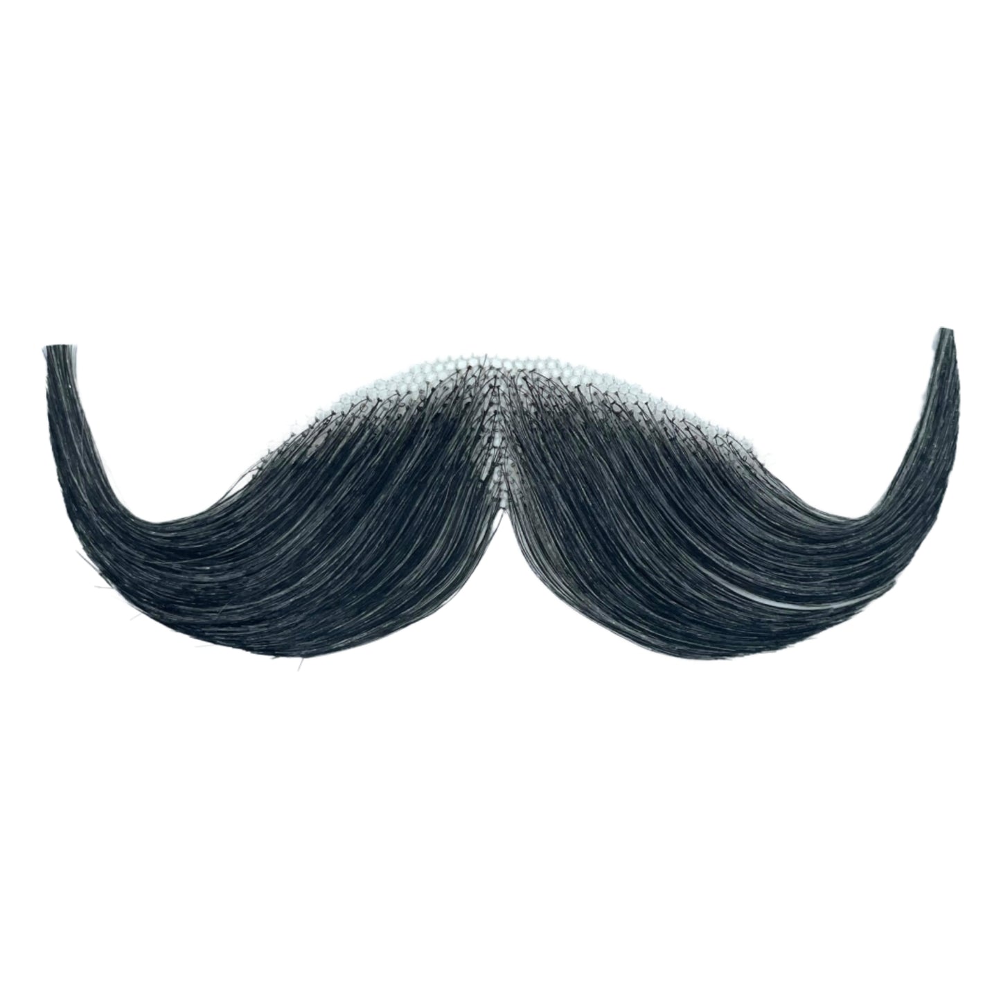 2013 Handlebar Moustache