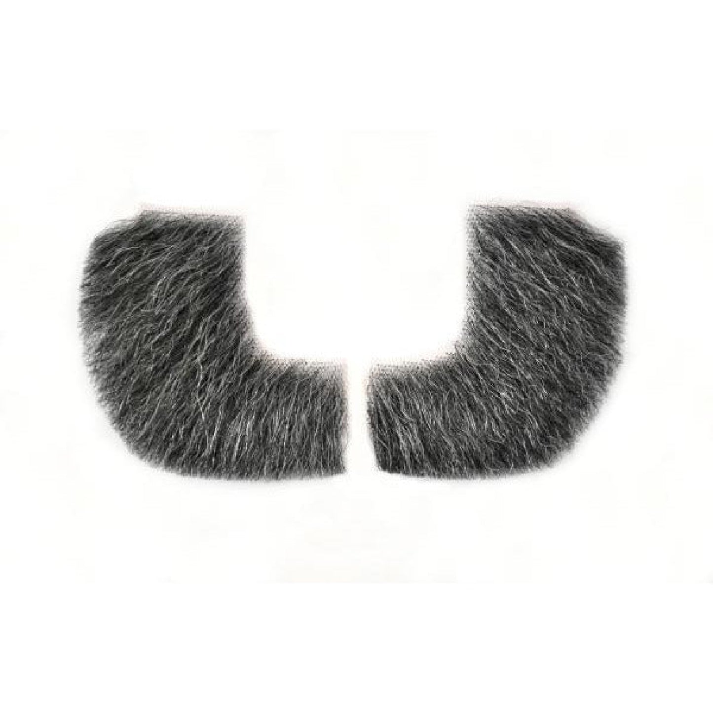 2019 Sideburns