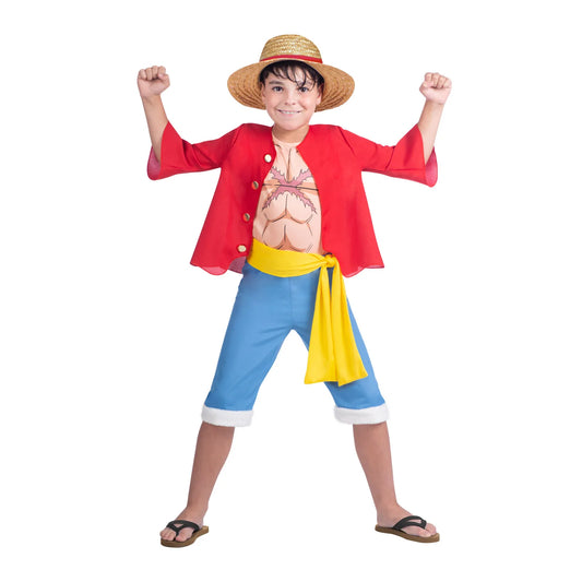 Child Luffy One Piece