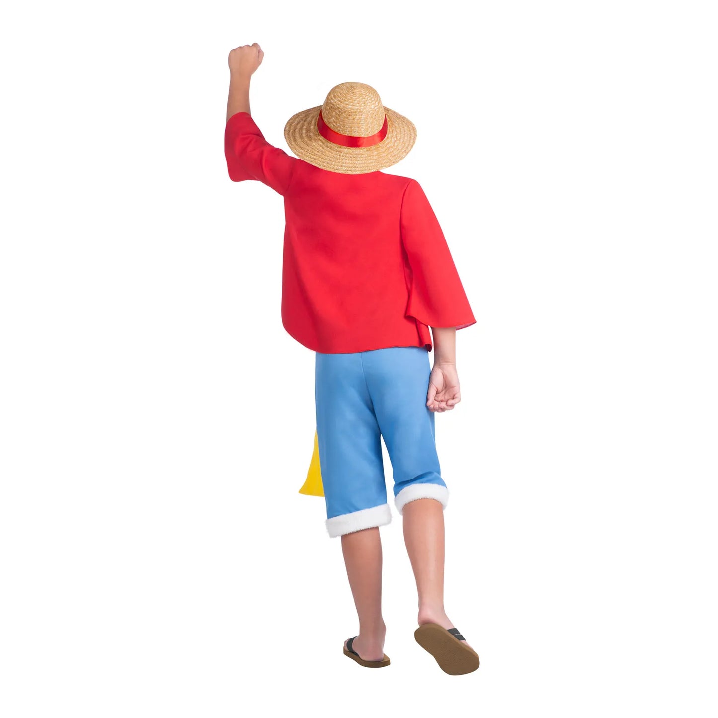 Child Luffy One Piece