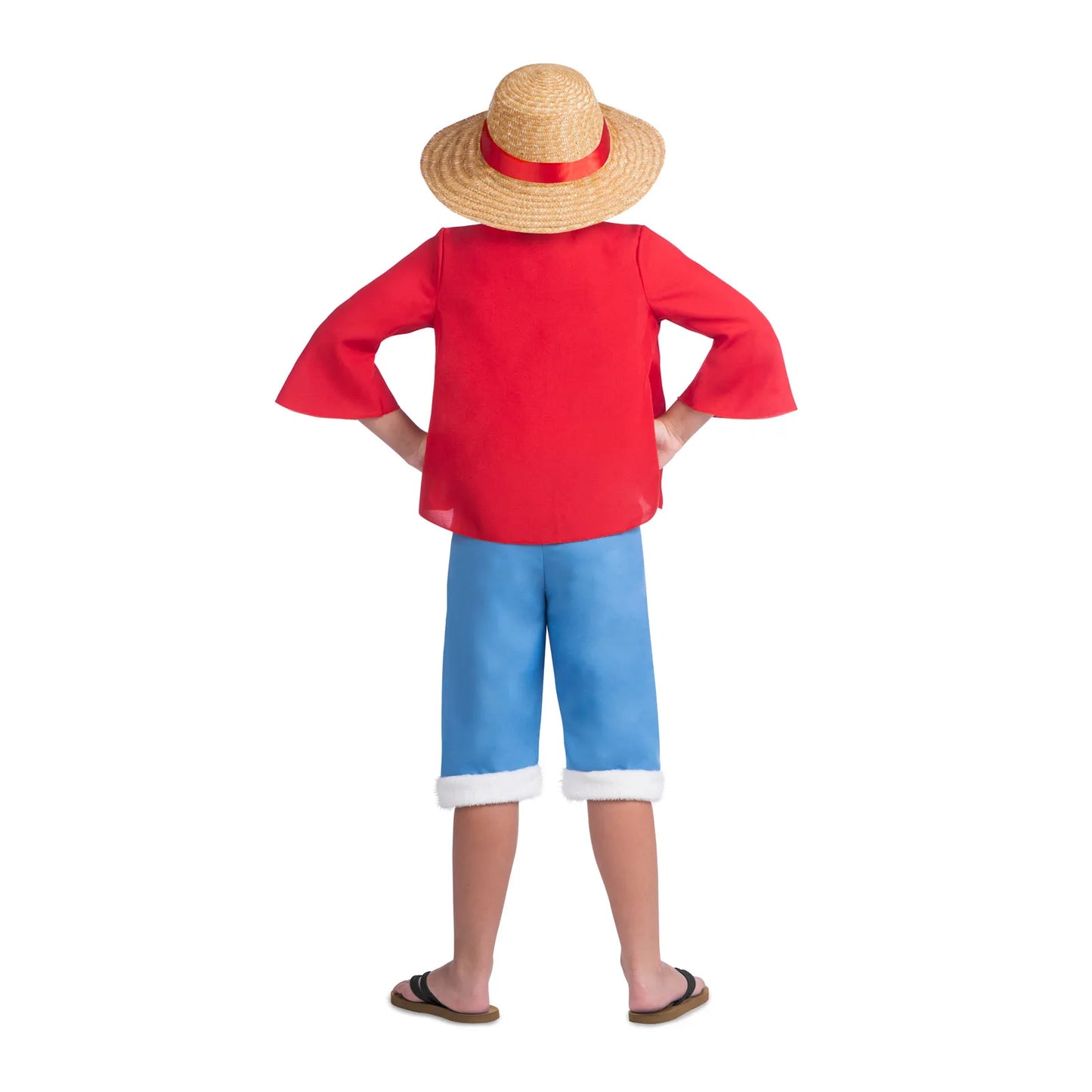 Child Luffy One Piece