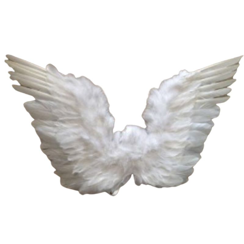 White Feather Up Wings