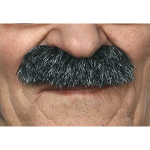 Salt and Pepper Moustache