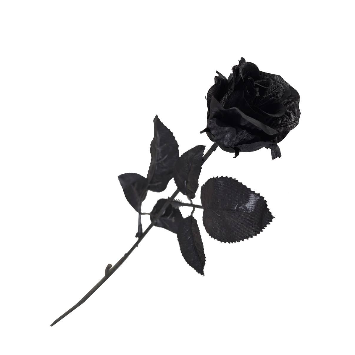 Black Rose