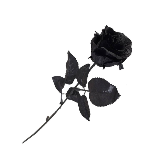 Black Rose