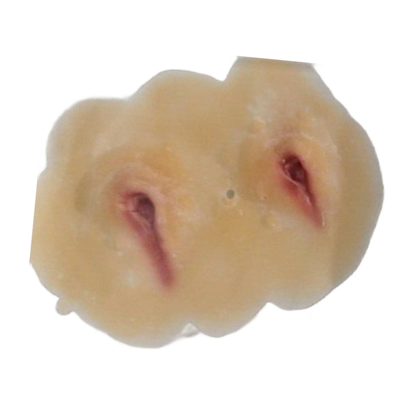 Woochie Everlasting Kiss Prosthetic