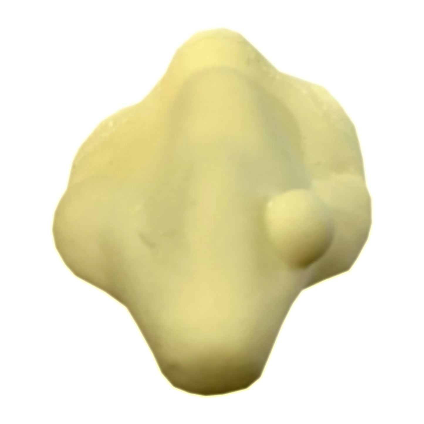 Woochie Witch Nose Large