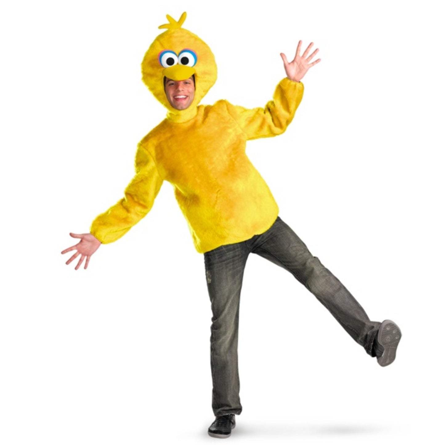 Sesame Street Big Bird