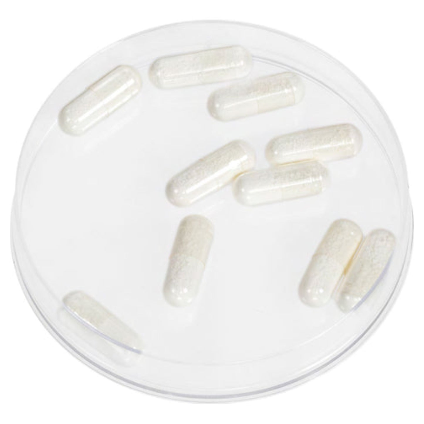 Kryolan Foam Capsules
