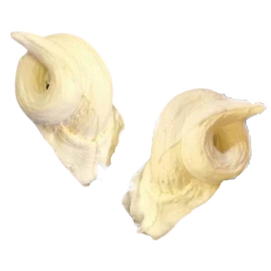 Foam Latex Curly Horns