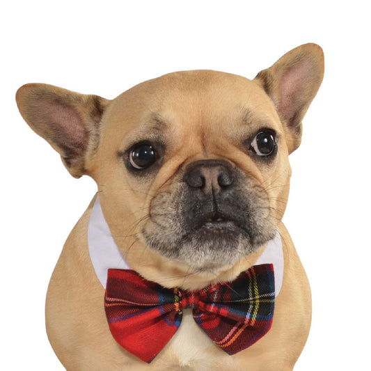 Pet Plaid Bow Tie