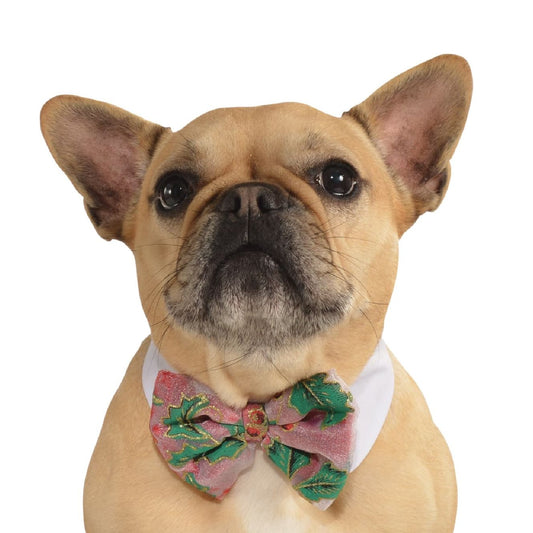 Pet Poinsettia Bow Tie