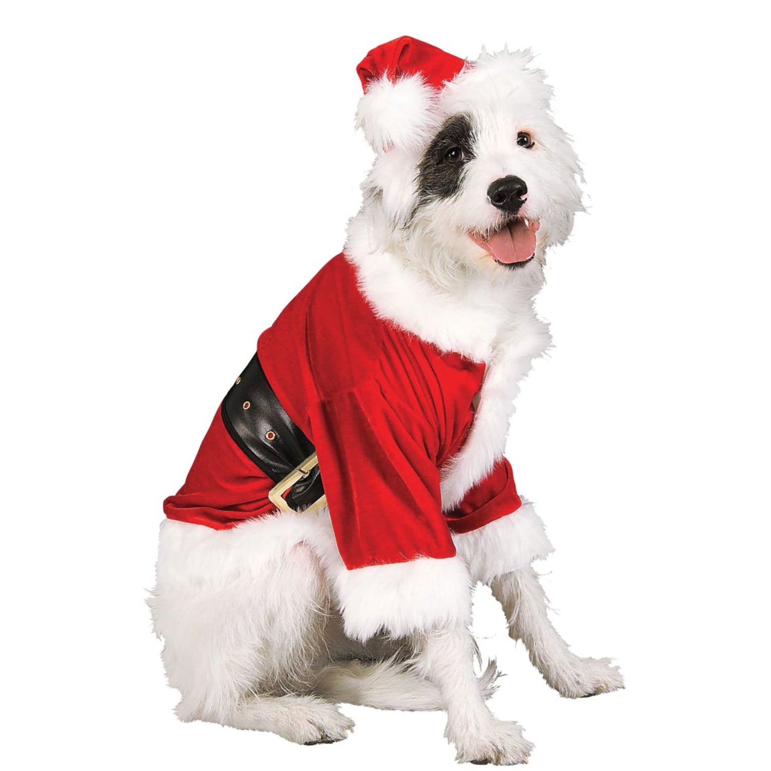 Dog hot sale santa outfit