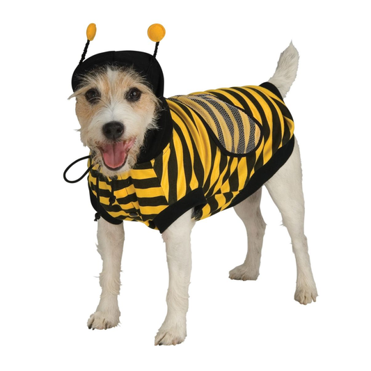 Pet Bumblebee