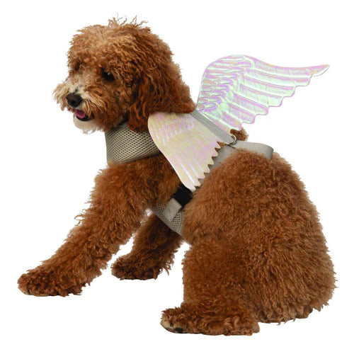 Angel Wings Pet Harness