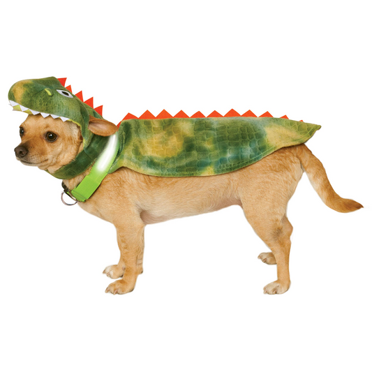 Pet Dinosaur