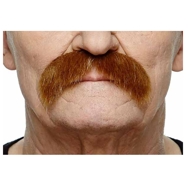 066 Auburn Moustache