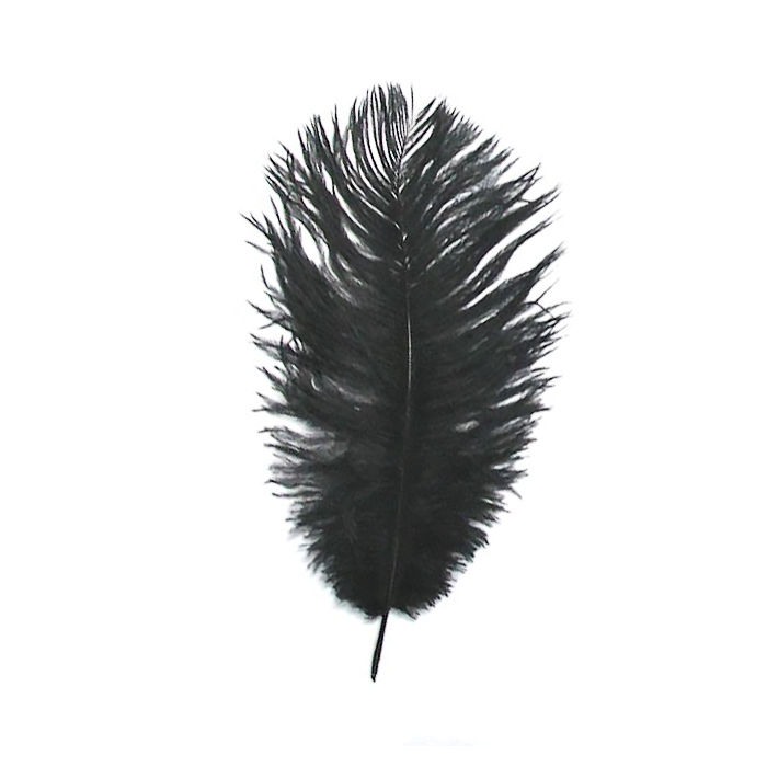 Small Black Feather Plume