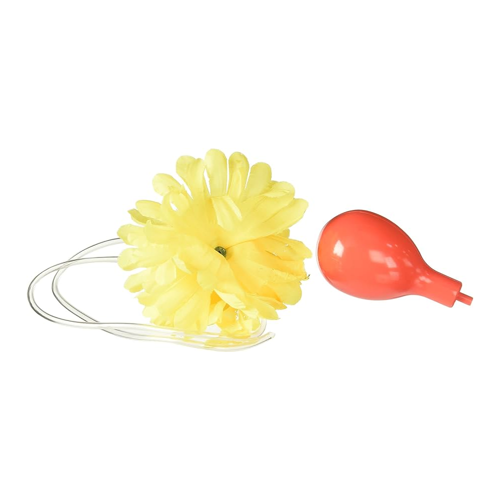 Clown Squirt Flower