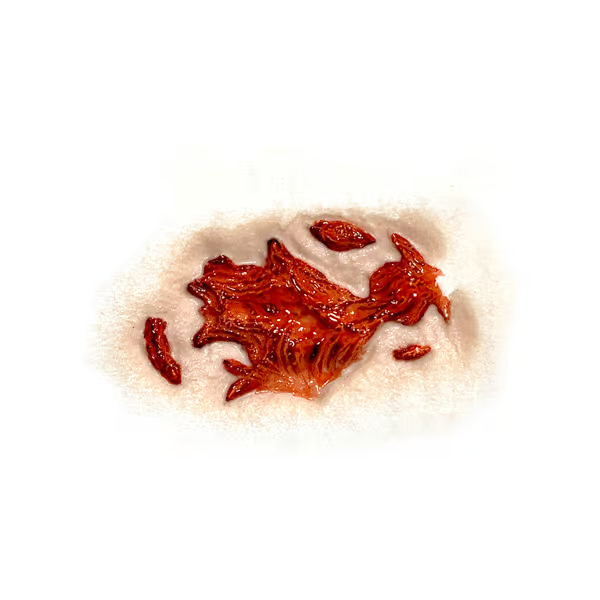 Tinsley Gash 3D FX Transfer