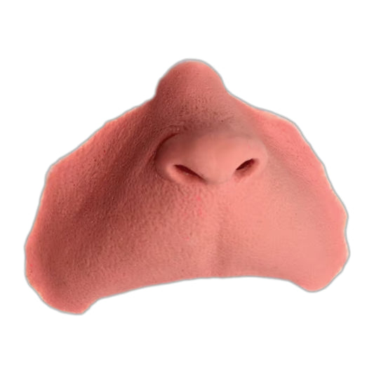 Who Elf Nose