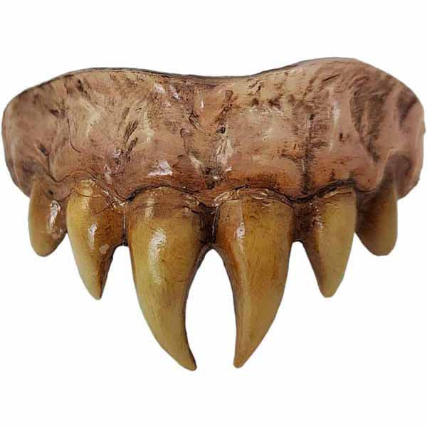 Vampire Master Teeth
