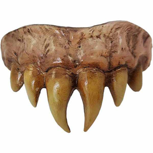 Vampire Master Teeth