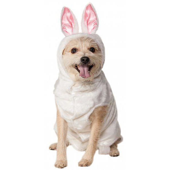 Pet Bunny Hoodie