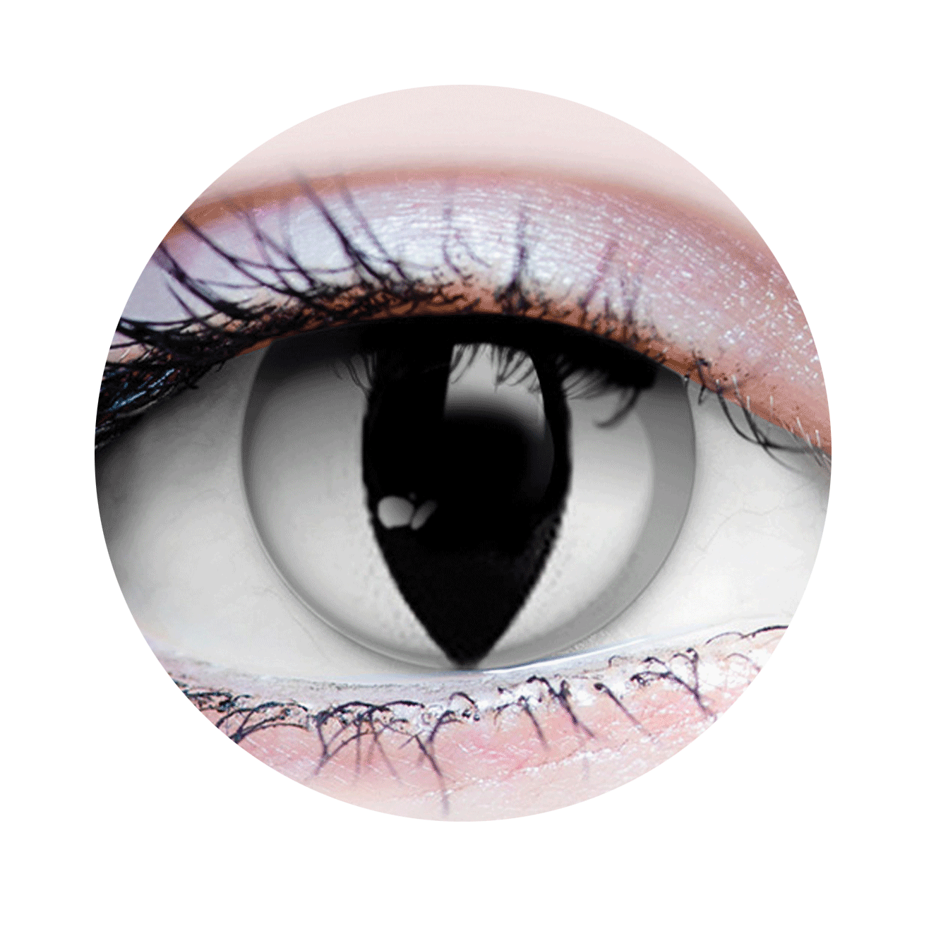 Venom Contact Lenses