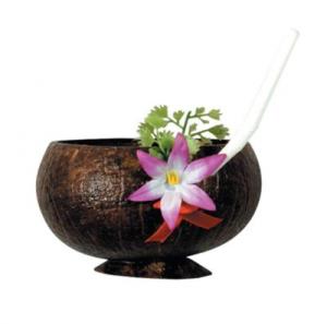 Coconut Drinking Cup
