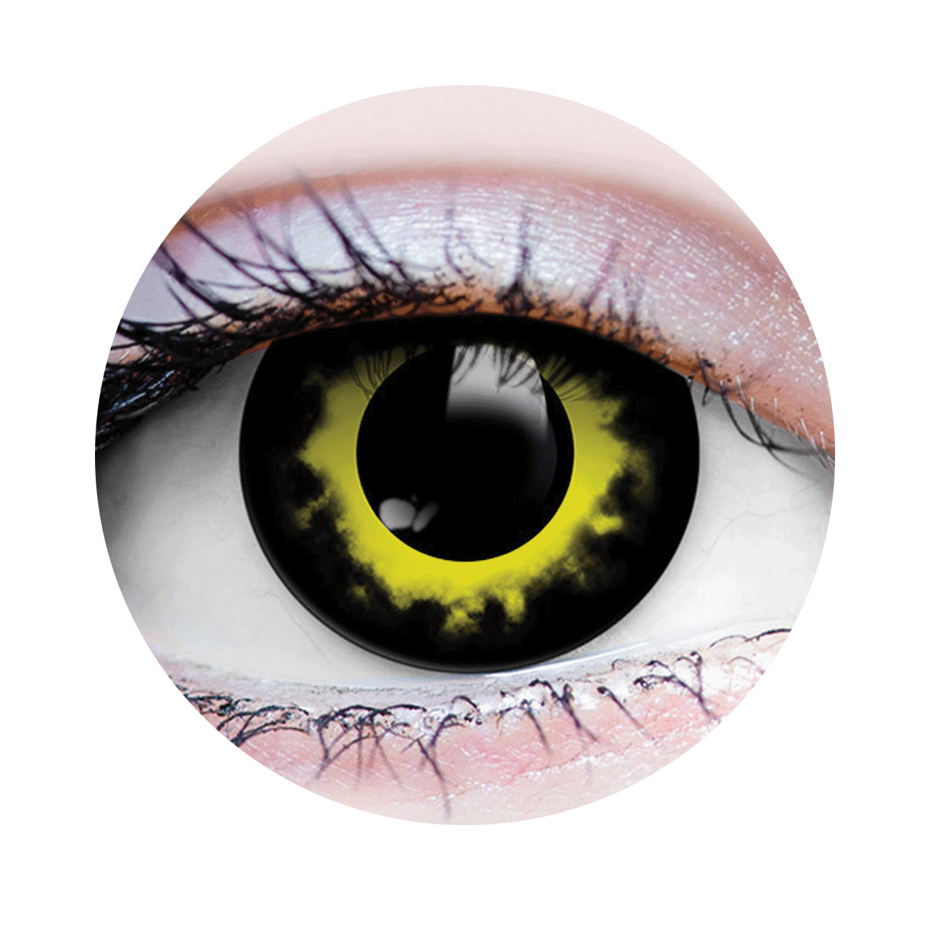 Storm Contact Lenses