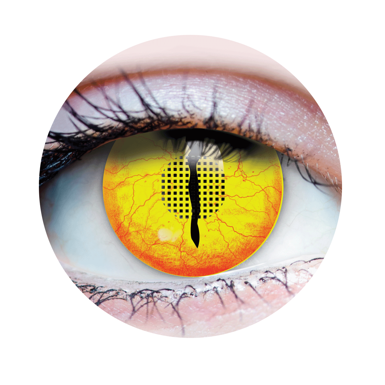 Jurassic 1 Contact Lenses
