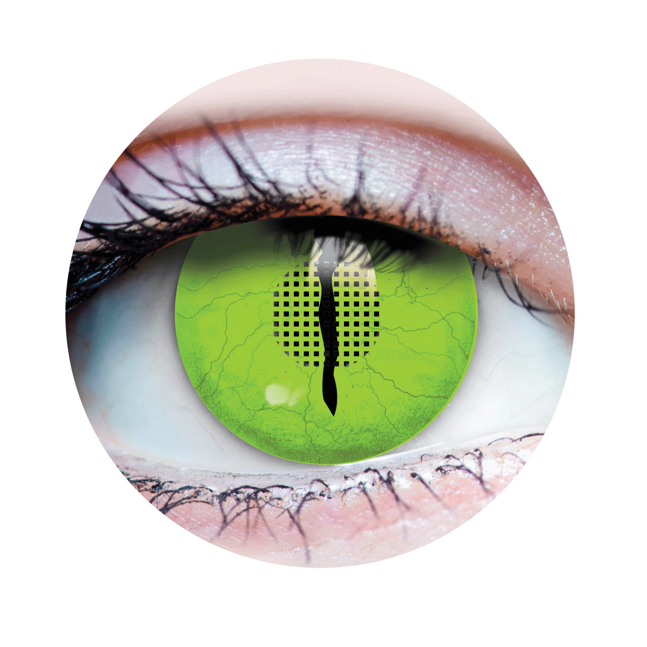 Jurassic 3 Contact Lenses
