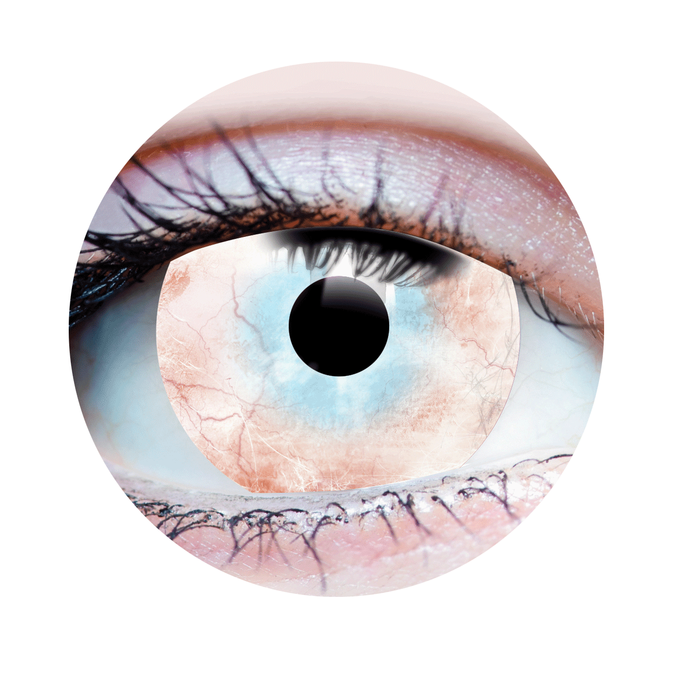 Plague Mini Sclera Contact Lenses