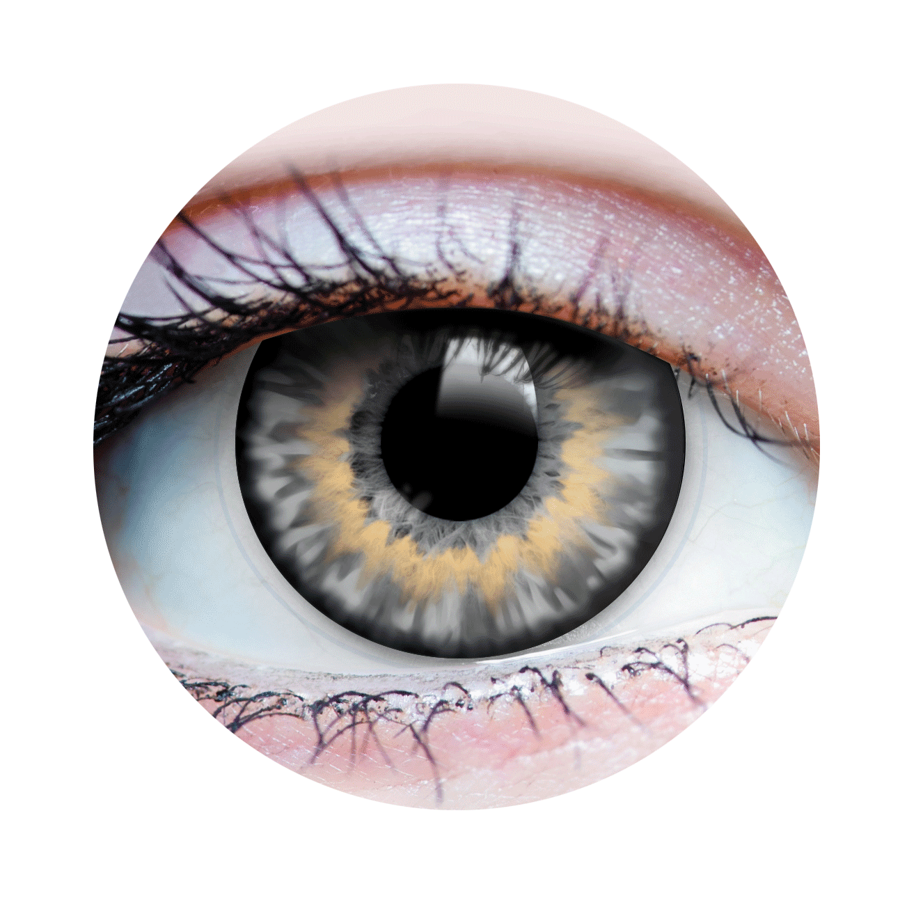 Sunrise Ash Contact Lenses