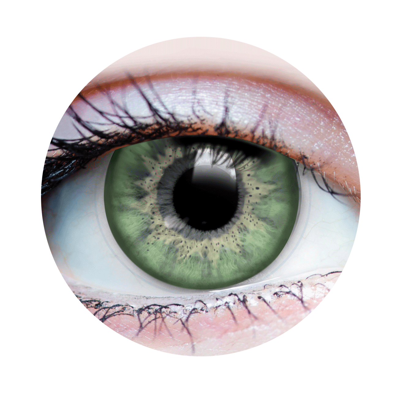 Aurora Jade Contact Lenses