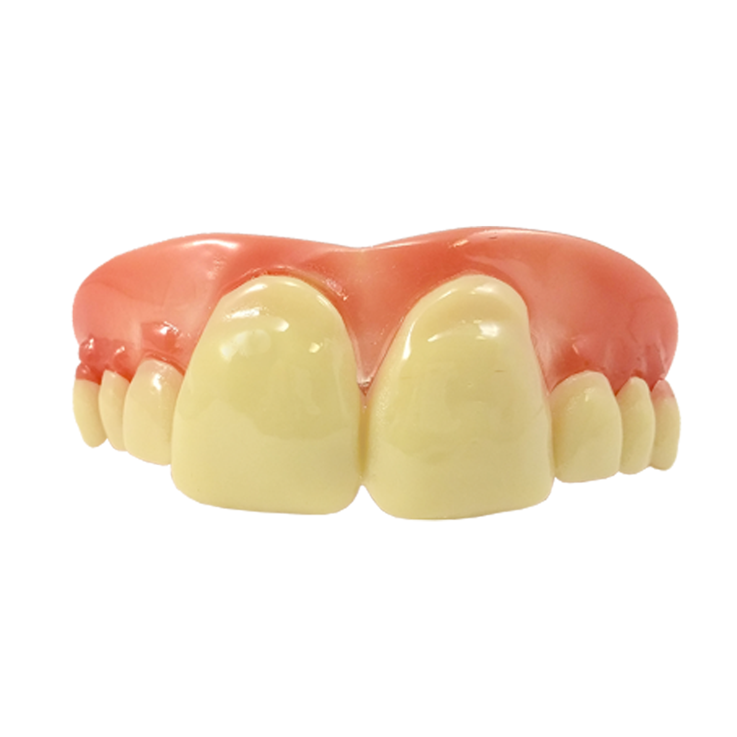 Billy Bob Mega Bucks Teeth