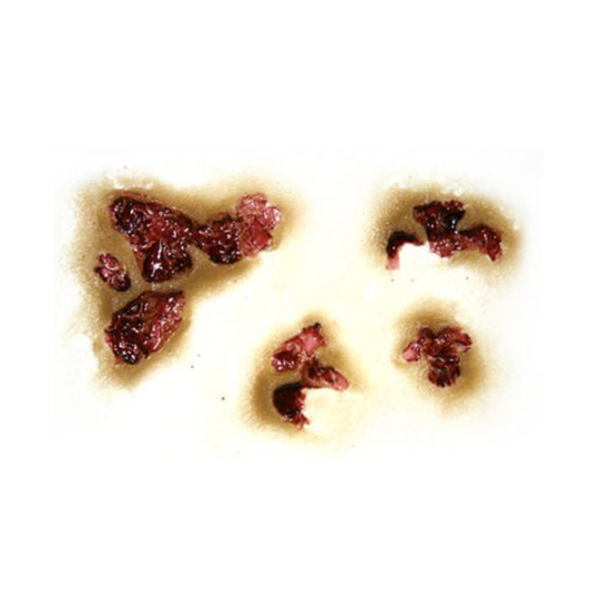 Tinsley Zombie Rot 3D FX Transfer