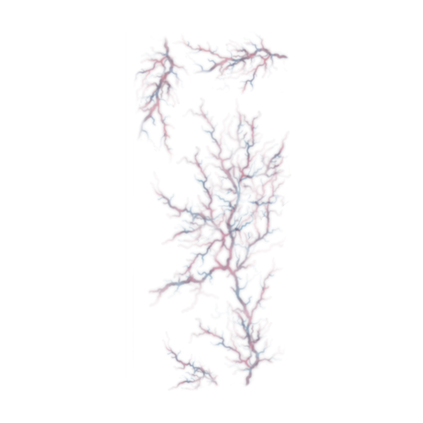 Tinsley Possessed Tattoo