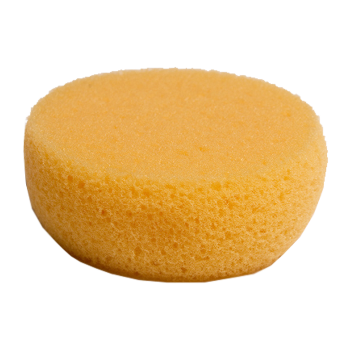 Face Paint Sponge