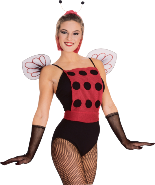 Lady Bug Kit