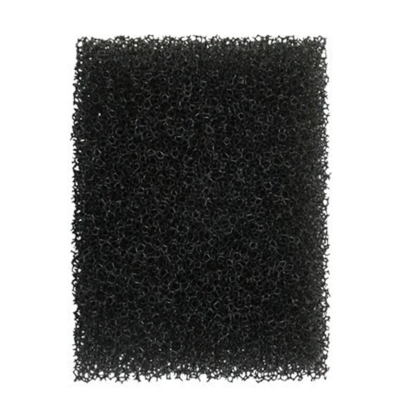 Stipple Sponge