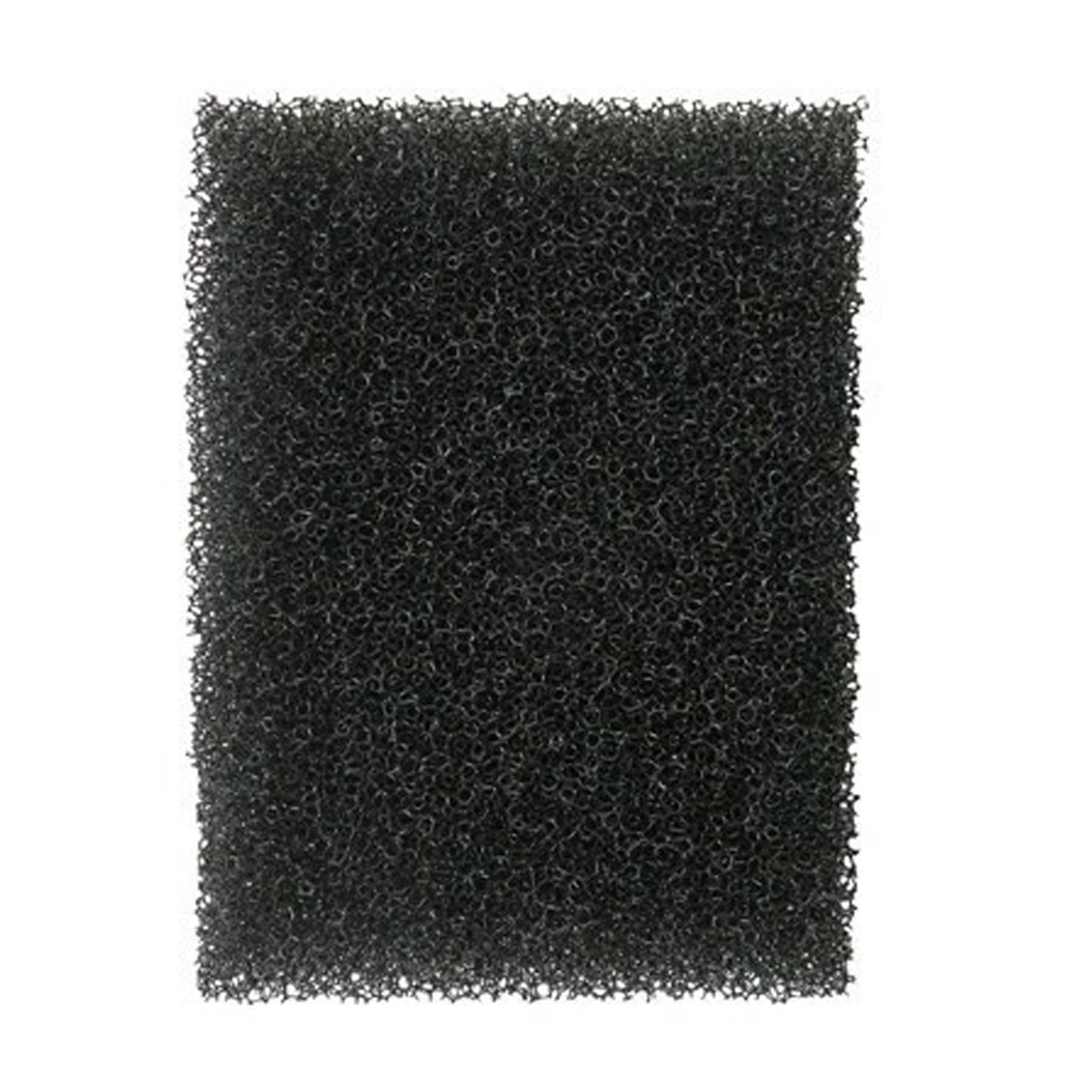Stipple Sponge