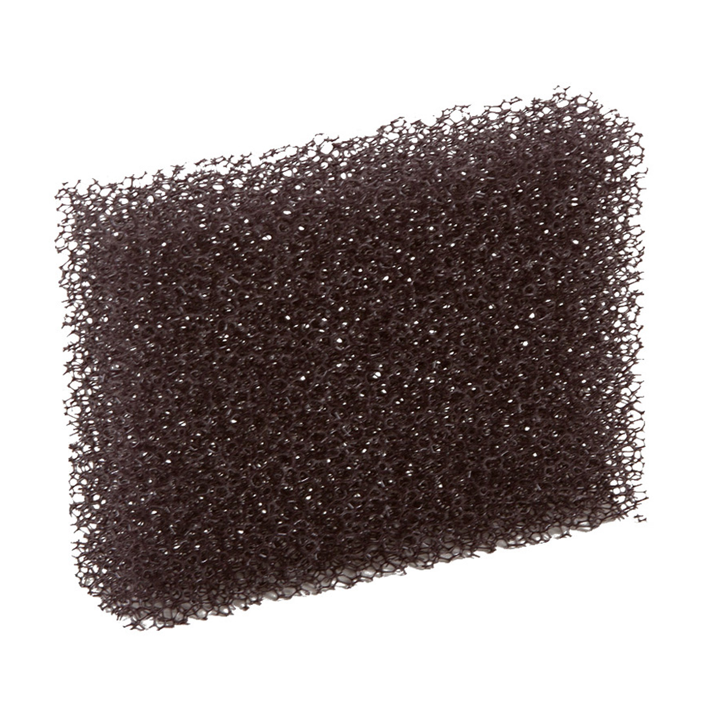 Fine Stipple Sponge