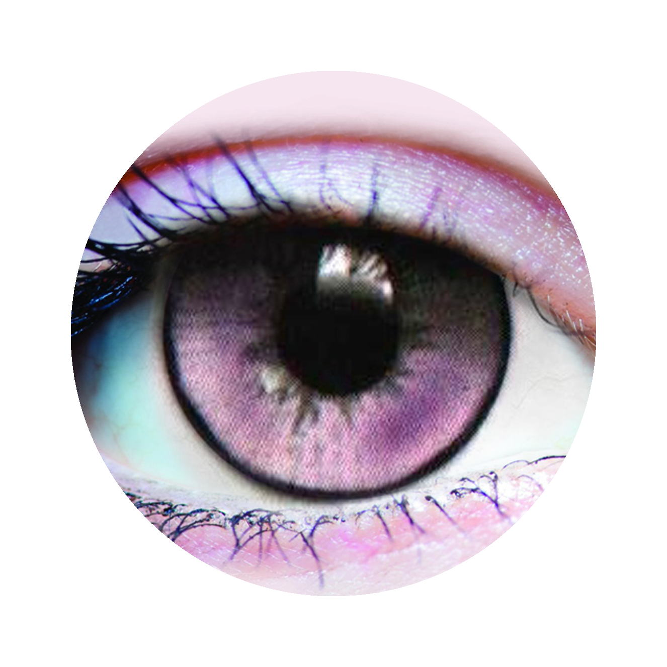 Succubus Mini Sclera Contact Lenses