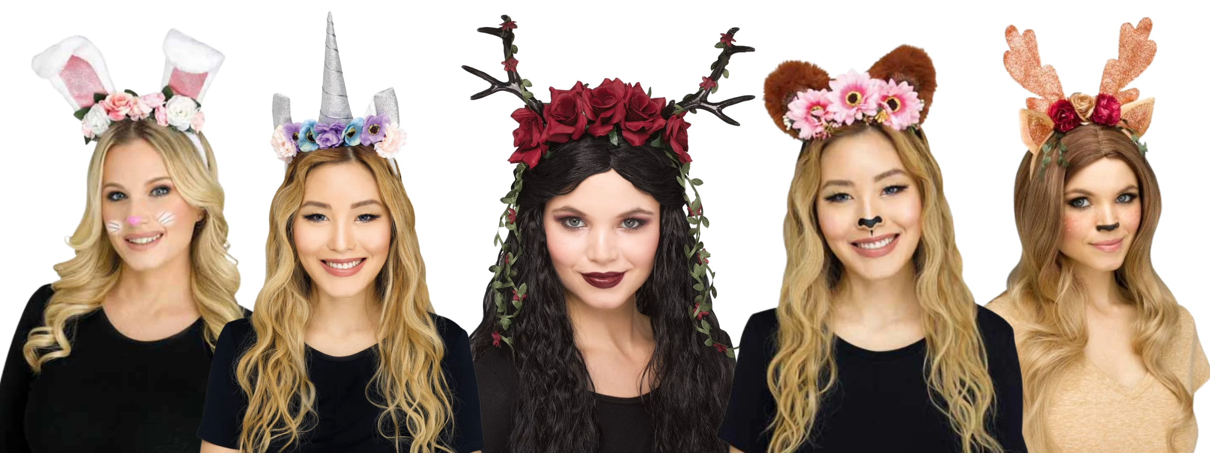 Animal Accessories & Kits