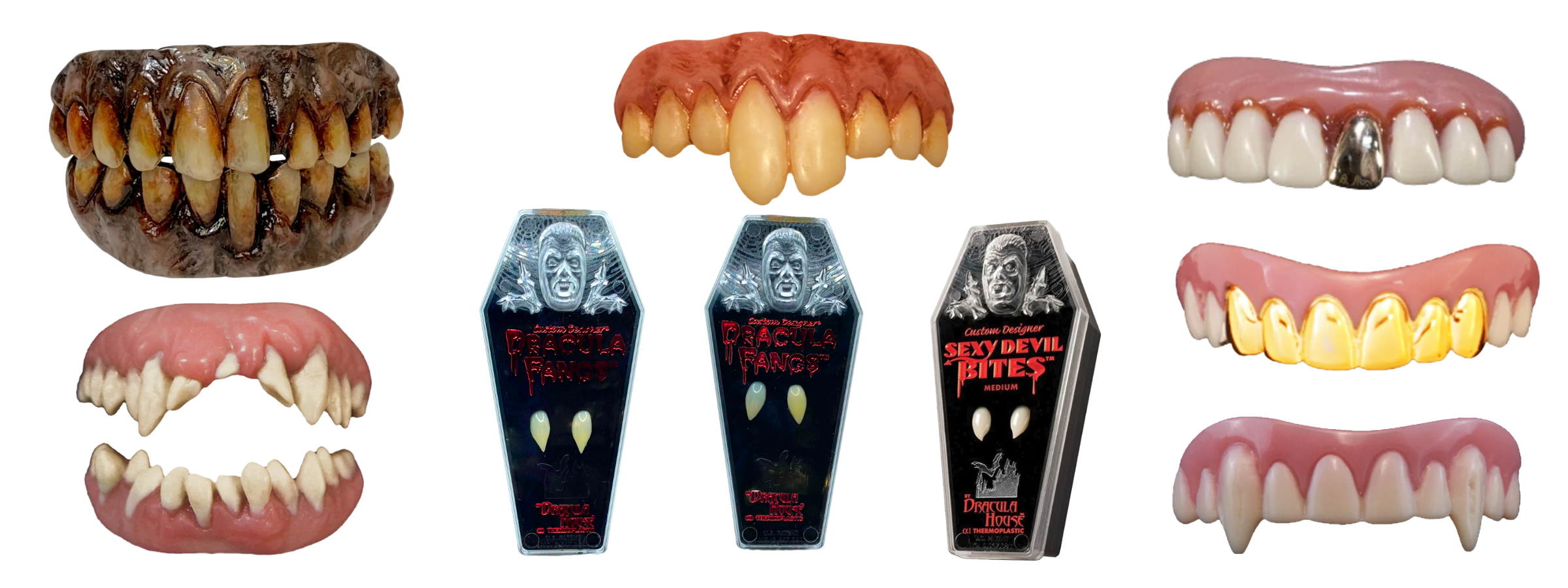 Teeth / Fangs