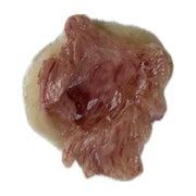 Large Exit Wound